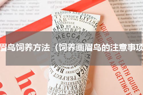 画眉鸟饲养方法（饲养画眉鸟的注意事项）