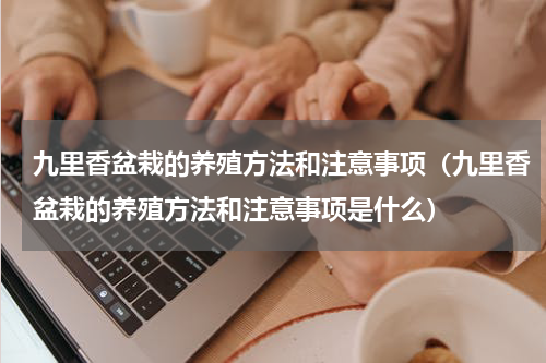 九里香盆栽的养殖方法和注意事项（九里香盆栽的养殖方法和注意事项是什么）