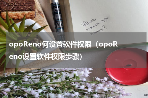 opoReno何设置软件权限（opoReno设置软件权限步骤）