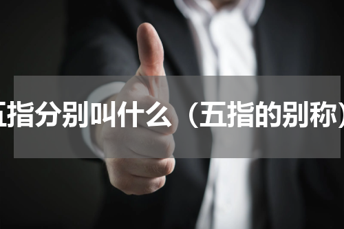 五指分别叫什么（五指的别称）