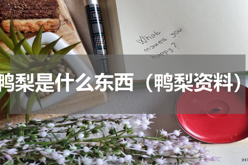 鸭梨是什么东西（鸭梨资料）