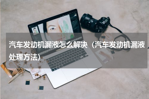 汽车发动机漏液怎么解决（汽车发动机漏液处理方法）