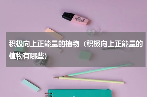 积极向上正能量的植物（积极向上正能量的植物有哪些）