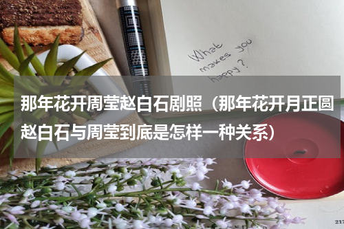 那年花开周莹赵白石剧照（那年花开月正圆赵白石与周莹到底是怎样一种关系）