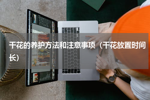 干花的养护方法和注意事项（干花放置时间长）