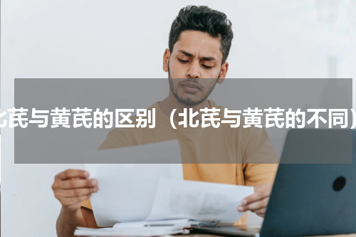 北芪与黄芪的区别（北芪与黄芪的不同）