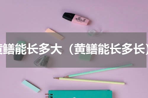 黄鳝能长多大（黄鳝能长多长）