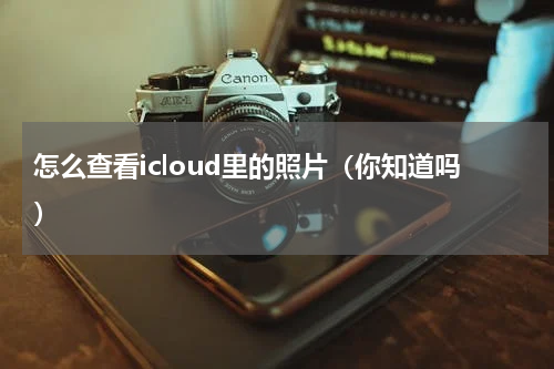 怎么查看icloud里的照片（你知道吗）