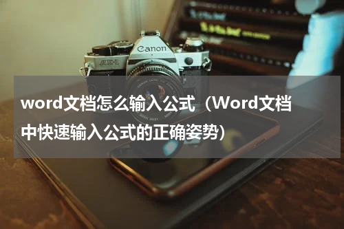word文档怎么输入公式（Word文档中快速输入公式的正确姿势）