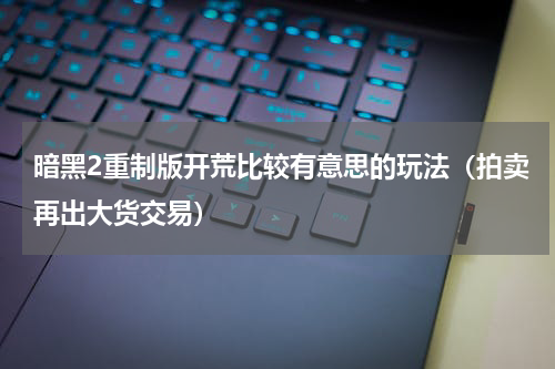 暗黑2重制版开荒比较有意思的玩法（拍卖再出大货交易）