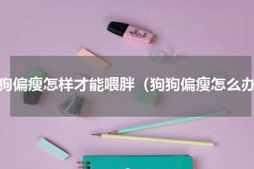 狗狗偏瘦怎样才能喂胖（狗狗偏瘦怎么办）