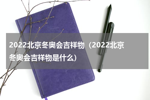 2022北京冬奥会吉祥物（2022北京冬奥会吉祥物是什么）