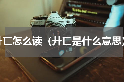 廾匸怎么读（廾匸是什么意思）