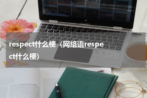 respect什么梗（网络语respect什么梗）