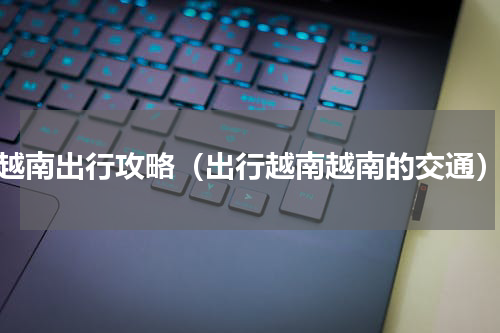 越南出行攻略（出行越南越南的交通）