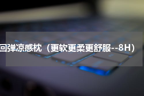 慢回弹凉感枕（更软更柔更舒服--8H）