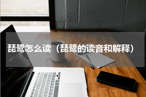 琵鹭怎么读（琵鹭的读音和解释）