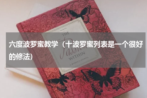六度波罗蜜教学（十波罗蜜列表是一个很好的修法）