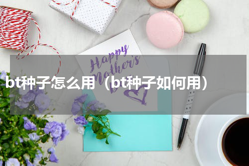 bt种子怎么用（bt种子如何用）