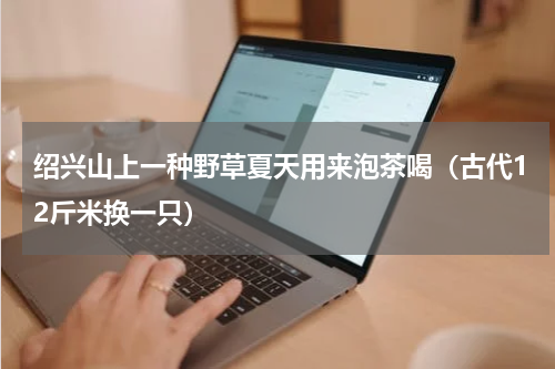绍兴山上一种野草夏天用来泡茶喝（古代12斤米换一只）