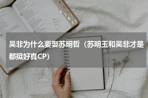 吴非为什么要娶苏明哲（苏明玉和吴非才是都挺好真CP）
