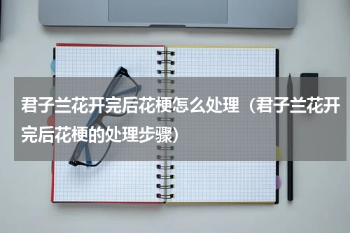 君子兰花开完后花梗怎么处理（君子兰花开完后花梗的处理步骤）