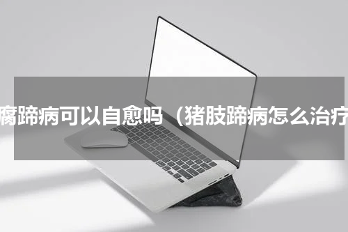 猪腐蹄病可以自愈吗（猪肢蹄病怎么治疗）