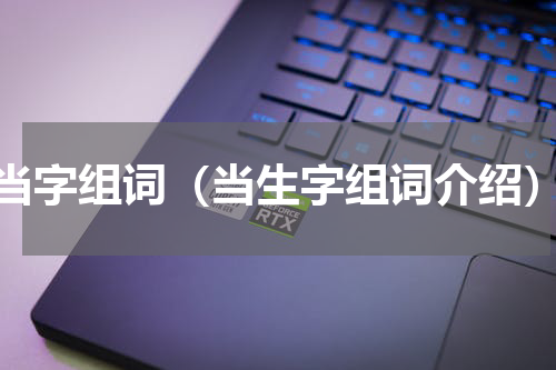 当字组词（当生字组词介绍）