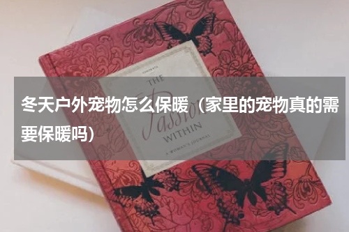 冬天户外宠物怎么保暖（家里的宠物真的需要保暖吗）