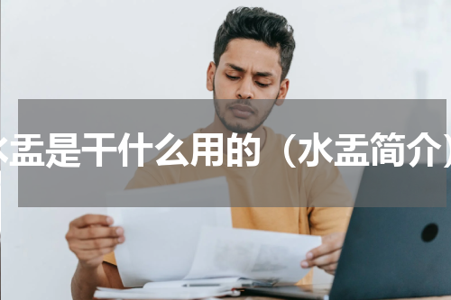 水盂是干什么用的（水盂简介）