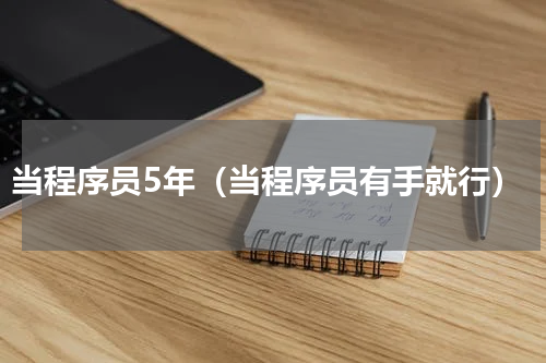 当程序员5年（当程序员有手就行）