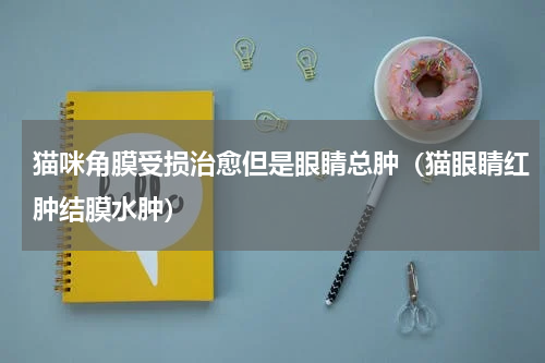 猫咪角膜受损治愈但是眼睛总肿（猫眼睛红肿结膜水肿）
