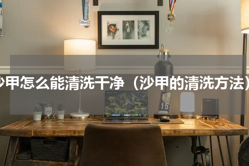 沙甲怎么能清洗干净（沙甲的清洗方法）