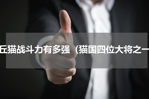 沙丘猫战斗力有多强（猫国四位大将之一）