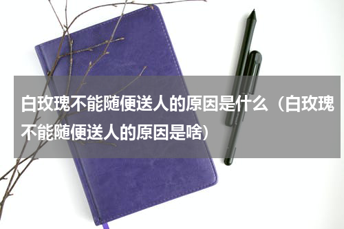 白玫瑰不能随便送人的原因是什么（白玫瑰不能随便送人的原因是啥）