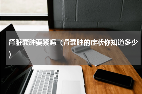 肾脏囊肿要紧吗（肾囊肿的症状你知道多少）