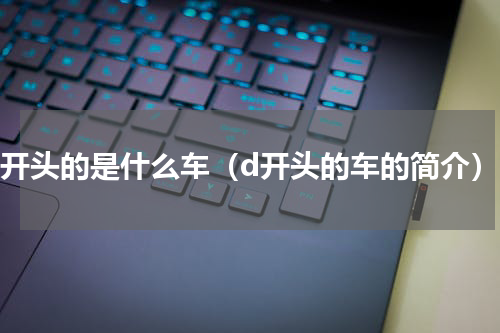 d开头的是什么车（d开头的车的简介）