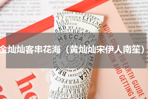 金灿灿客串花海（黄灿灿宋伊人南笙）