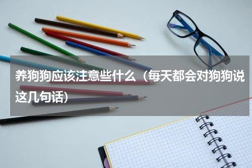 养狗狗应该注意些什么（每天都会对狗狗说这几句话）