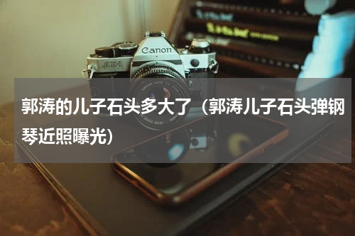 郭涛的儿子石头多大了（郭涛儿子石头弹钢琴近照曝光）