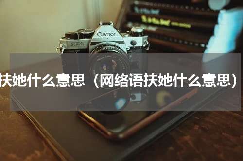 扶她什么意思（网络语扶她什么意思）
