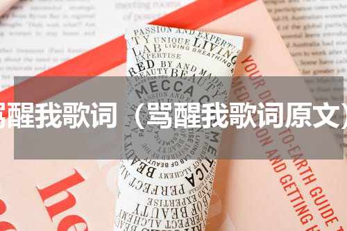 骂醒我歌词（骂醒我歌词原文）