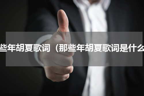 那些年胡夏歌词（那些年胡夏歌词是什么）