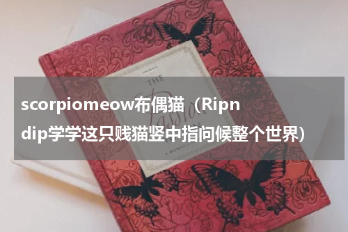 scorpiomeow布偶猫（Ripndip学学这只贱猫竖中指问候整个世界）