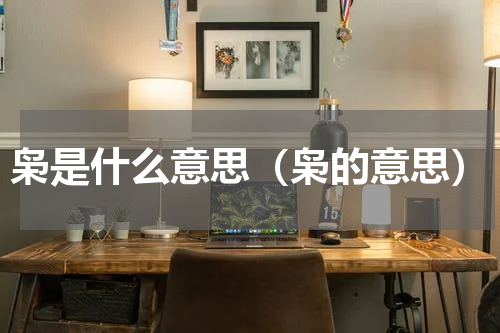枭是什么意思（枭的意思）