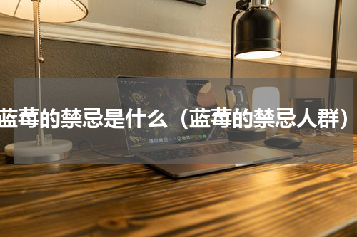 蓝莓的禁忌是什么（蓝莓的禁忌人群）