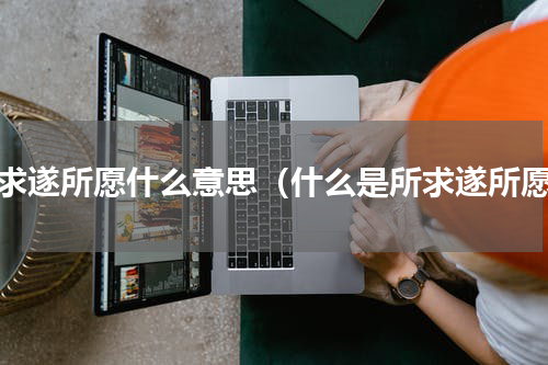 所求遂所愿什么意思（什么是所求遂所愿）