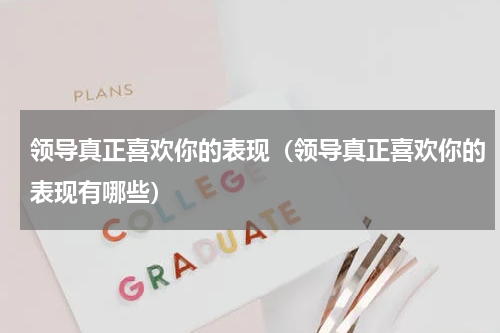 领导真正喜欢你的表现（领导真正喜欢你的表现有哪些）