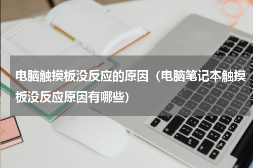 电脑触摸板没反应的原因（电脑笔记本触摸板没反应原因有哪些）