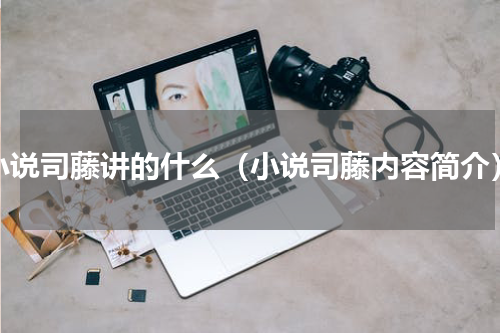 小说司藤讲的什么（小说司藤内容简介）